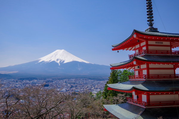 家族、親族旅行